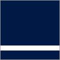 Navy / White